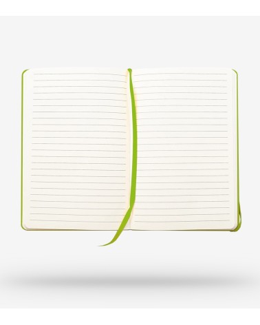 Carnet A5 Inspiration Vert Anis – Édition Noël – Avec Stylo Personnalisé – 160 pages lignées – Expédition 24h